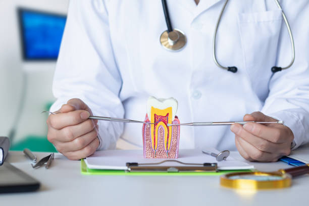 Best Weekend Emergency Dentist in Oak Ridge, NC